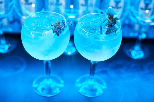 Image for the post Bombay Sapphire launches latest Project Botanicals