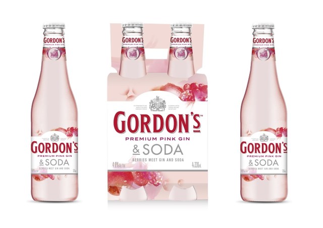 Image for the post Diageo extends RTD range with Gordon’s Pink & Soda