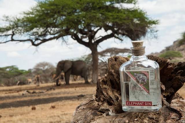 Image for the post World Elephant Day. Celebrate with Elephant Gin, a gin with the spirit of conservation!