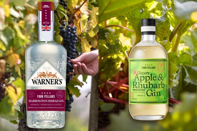 Image for the post Four Pillars and Warner’s collab on new gins